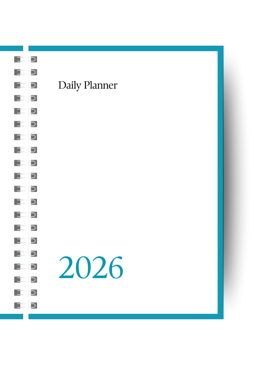 The Big Plan | Daily Diary