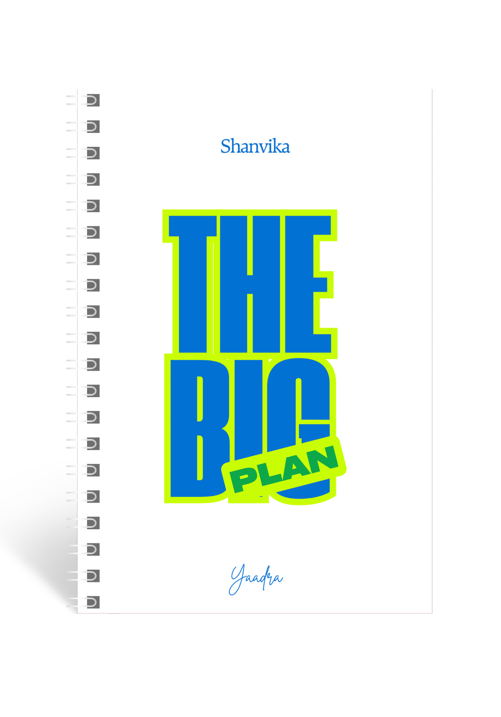 The Big Plan | Daily Diary