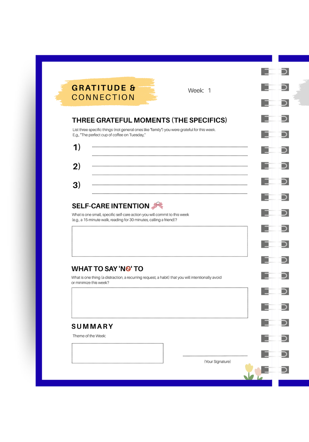 A Productivity Journal — Your Everyday Companion for Growth & Focus